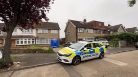 London woman dies in XL bully attack