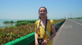 Vlog: Building nest for birds on island of Taihu Lake