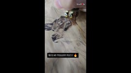 ETHEREAL Deer Motif comes to life through Handcrafted Wood Burning *Magic of Pyrography!*