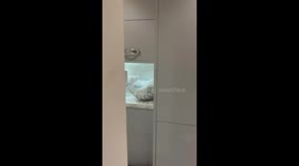 Man's scream after a vigil shatters the poise