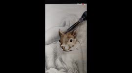 Artist's impeccable grip on pyrography helps bring a detailed squirrel to life