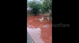 River in southern China mysteriously turns deep red, leaving fish lifeless