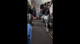 Unexpected furry passenger delights travelers on Spirit Airlines flight