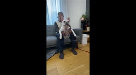 Grandpa holds dog while asleep on sofa in Aichi, Japan