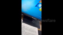 China: Hamster as A Computer Mouse