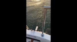 An evening on a sail boat heading out to the deep blue sea, calming and rejuvenating is all you need!