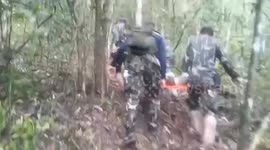 Wildlife officer attacked by wild bear while patrolling forest
