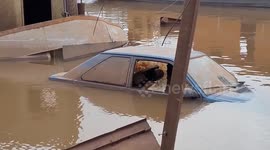 Brazil: US commits more than 920,000 euros to support Brazil in the face of floods