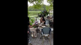 Squirrel joins the table for afternoon tea and dessert in China