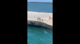 Pet dog helps port workers with line handling of vessel