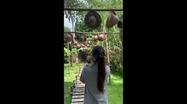 Picturesque video goes wrong when wooden walkway breaks