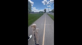Puppy Prefers to Walk on Two Legs