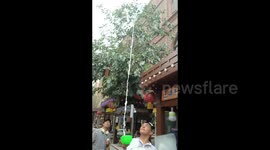 China: Spectacular Yogurt Show