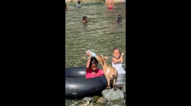 Riverside bond: child bathes, goat feeds