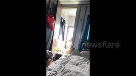 China: Monkey on Emei Mountain wakes up resident with a surprise visit in the morning