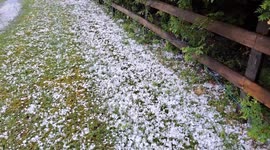 Large Hail Impacts Ontario