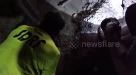 Cloudburst in northern India: SDRF rescues animals trapped in debris