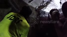 Officials rescue animals stuck in debris following cloudburst in northern India