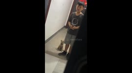 Chinese boy melts heart when seeking approval of bringing home stray puppy