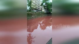 Thousands of fish killed after dye floods into water from local factory