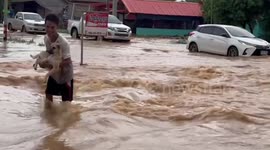 Hero locals rescue dog from flooded road amid heavy rain in Thailand