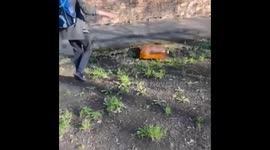 10-year-old injured by exploding beer keg in Tomsk courtyard