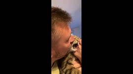 Cat's cry for space: unwanted affection in Lille