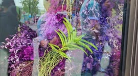 USA: The multidimensional flower show Bloomtanica opens in New York