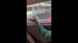 Cheeky monkey drinks Pepsi from the back of passing pickup truck