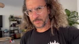 Adorable, jealous west highland terrier, refuses to be ignored