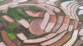 China: Layered Rice Terraces in Nanning