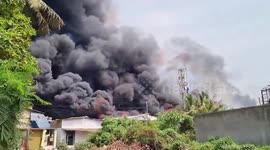 Seven dead and 48 injured in chemical factory explosion in India