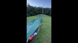 Child and dog dash down homemade 60m slippery slide