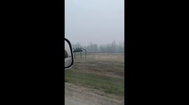 Giant VW bug spider creeps through Grande Prairie fog