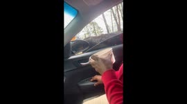 Hungry cow leaves passenger in hysterics as it snatches food bowl