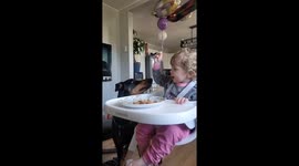 Child eats straight from plate, ignoring dog's expectant gaze