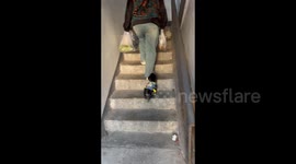 China: Toddler Helps Stuck Puppy