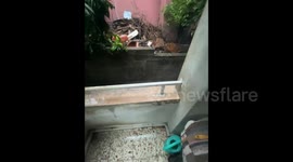 Turkey: Flooding Hits Adana After Heavy Rainfall 3