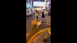 Woman takes balloon animals for a walk in China