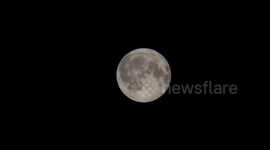 Full Flower Moon Lights Up Night Skies 2