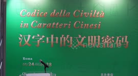 Exhibition on Chinese characters held in Italy