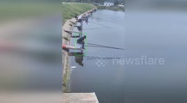 Angler dragged into the water by feisty 20kg fish