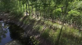 Former forest farm worker plants over 30,000 trees in 27 years in China's Jilin