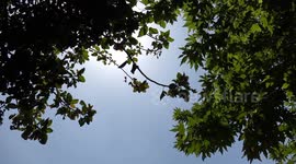 Pakistan: Heat stroke in Islamabad Pakistan