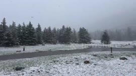 Spring snow at Woodbine Campground, Nye, Montana