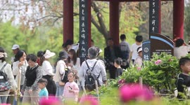 China: Peony in Full Bloom in Sanmenxia