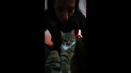 Kissing my pet and see its reaction... cuteness overloaded...