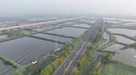 China: A Bird's Nest on A Power Tower in Xinghua