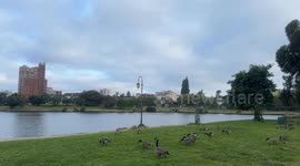 Cloudy Morning Oakland