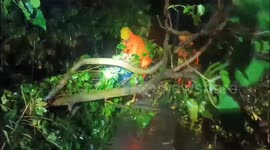 Sagar Island in west Bengal NDRF team removed/cleared uprooted tree due to Cyclone Remal